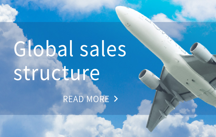 Global sales structure